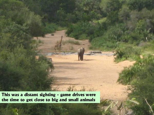 Slide032.JPG