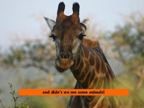 Slide041.JPG