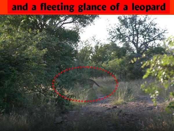 Slide065.JPG