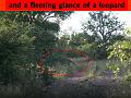 Slide065
