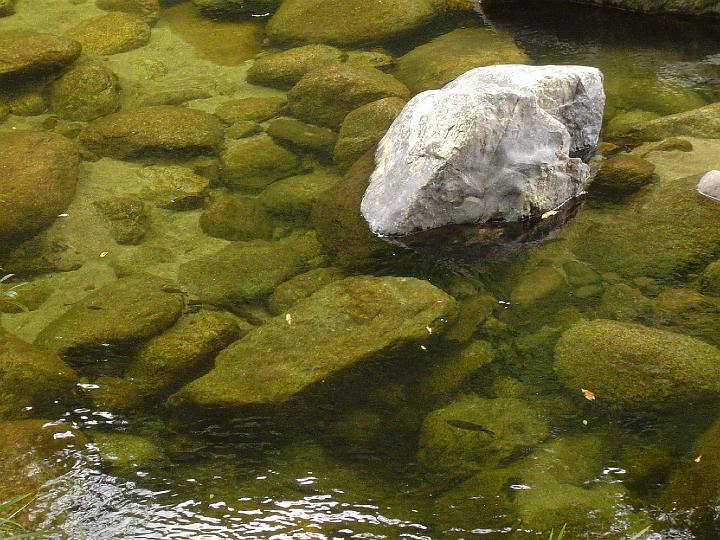 1039.JPG