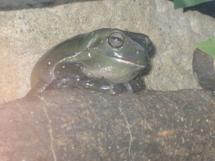 1049.JPG